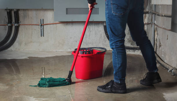 Best Residential water damage restoration  in Winnfield, LA