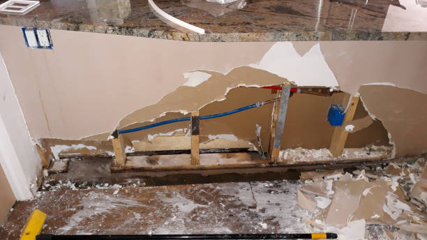 Best Water damage cleanup near me  in Winnfield, LA
