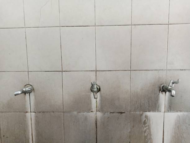 Best Carpet water damage restoration  in Winnfield, LA