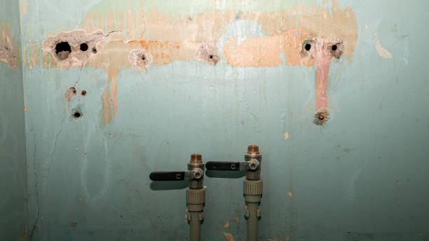 Best 24-hour water damage restoration  in Winnfield, LA