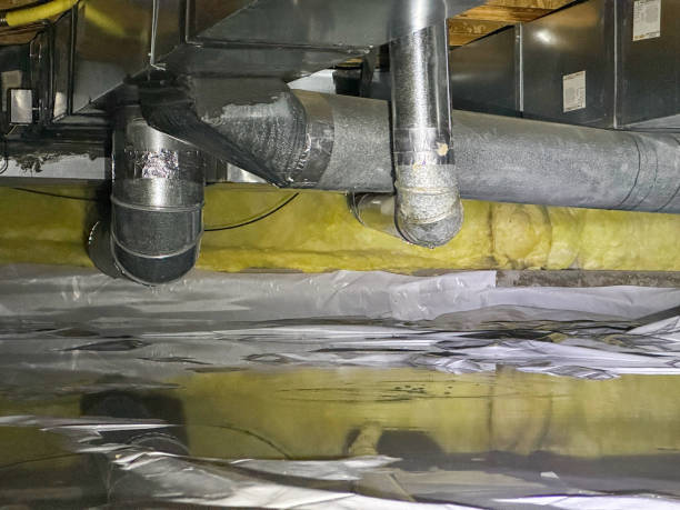 Best Local water damage restoration  in Winnfield, LA
