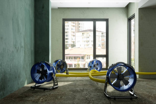 Best Fire Damage Restoration  in Winnfield, LA
