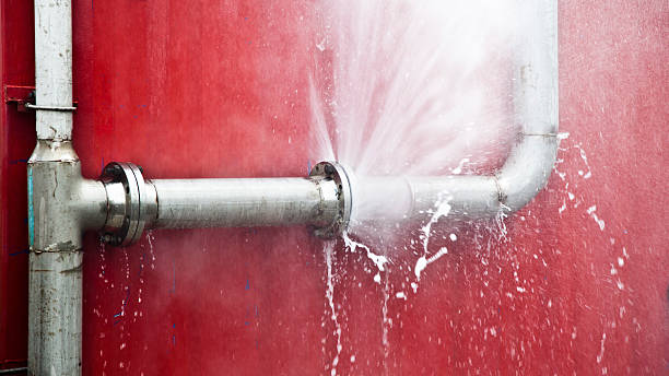 Best Sewage cleanup and water damage restoration  in Winnfield, LA